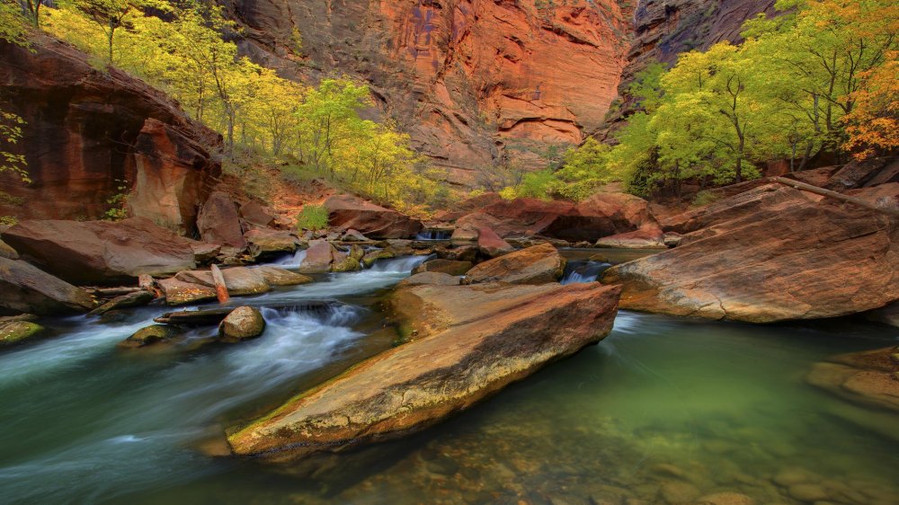zion-national-park-stream in desert